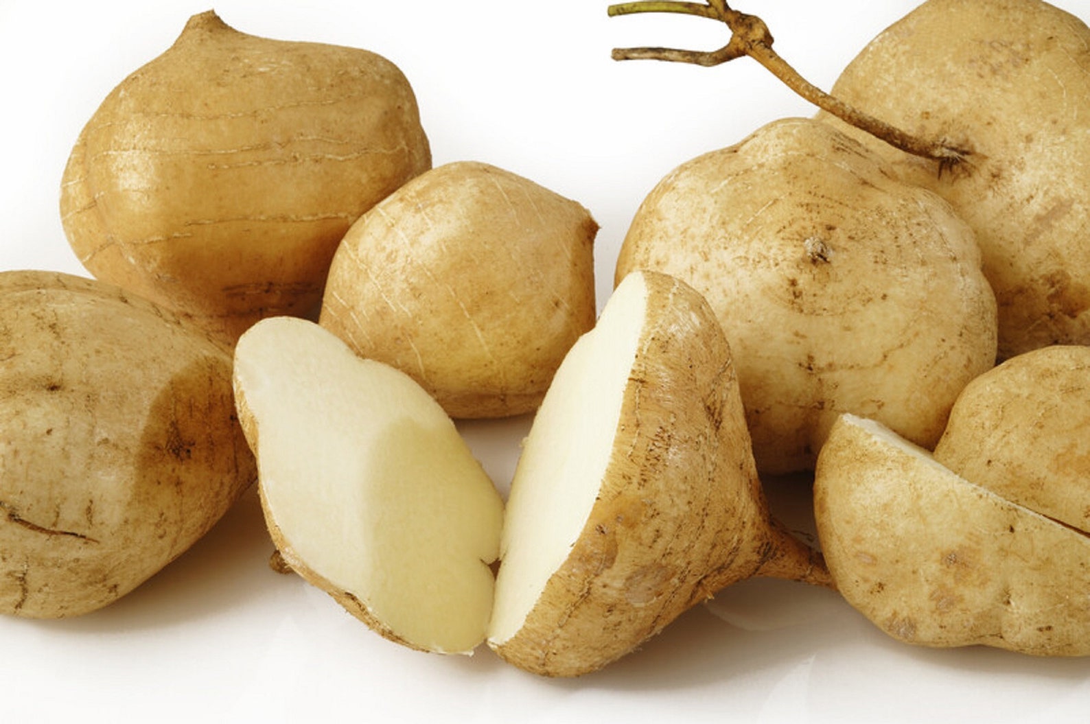 40 Jicama Seeds Mexican Yam Bean Nongmo Root Potato Etsy