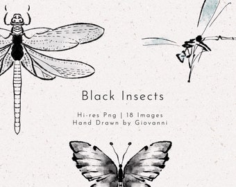 18 Black Insects PNGs, Watercolor, Fine art, Hand Drawn by Giovanni 2021, Clipart, PNG Files, Commercial Use, Hi-res, Butterfly, dragonfly