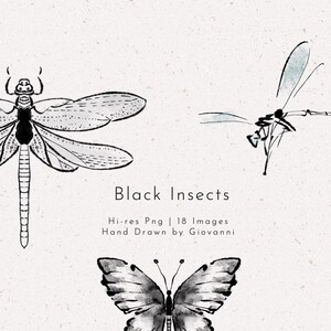 18 PNGs de insectos negros, acuarela, bellas artes, dibujado a mano por Giovanni 2021, imágenes prediseñadas, archivos PNG, uso comercial, alta resolución, mariposa, libélula