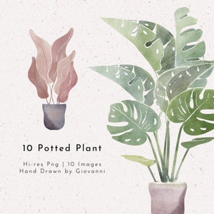 10 PNGs de plantas en macetas, acuarela, bellas artes, dibujadas a mano por Giovanni 2021, imágenes prediseñadas, archivos PNG, paisaje, interior, casas, uso comercial,