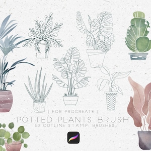 Puede incluir: Un conjunto de 50 pinceles de sello de contorno para Procreate con plantas en macetas. Los pinceles están diseñados para crear un estilo simple y minimalista.