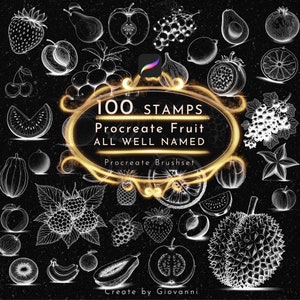 100 Procreate Fruit Stamp Brush, Ultimate Procreate Fruit Outline Brushset, Fruit Elements, 38 Kinds Fruit, Fine Line, Tattoo