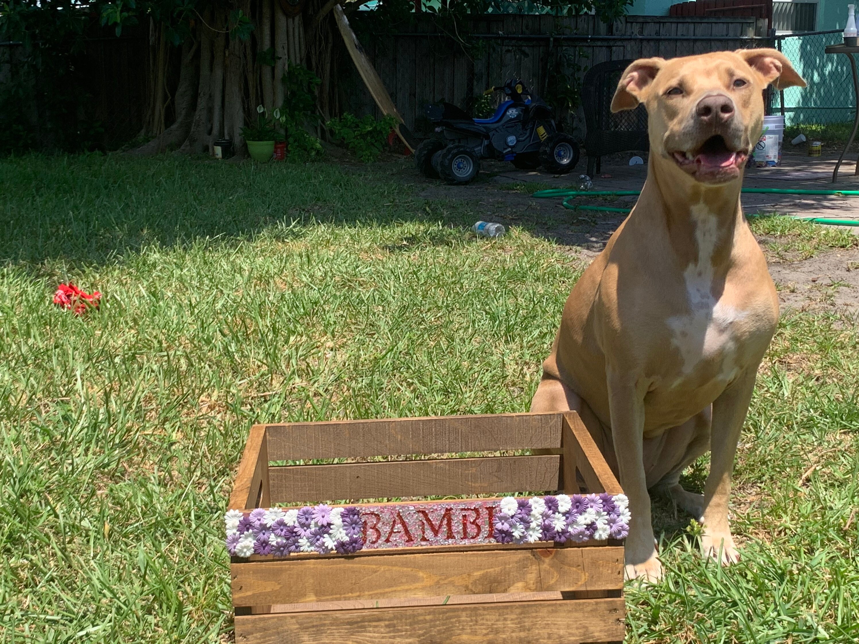 Caja de almacenamiento de juguetes hecha a mano a medida | Etsy