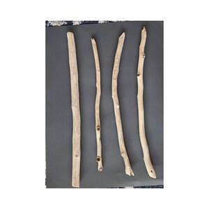 20-24in Driftwood, Washington Beach Sticks,  New Age Wands, Macreme' sticks, wholesale driftwood, Beach wands, home decor sticks, craft wood