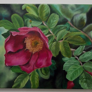 Rosehip Flower, hand painted oil painting painting on canvas