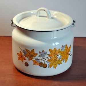 Könnte beinhalten: Weißer Emailletopf mit Deckel und zwei Griffen. Der Topf hat ein Blumenmuster mit gelben und orangefarbenen Blättern und grauen Ranken.