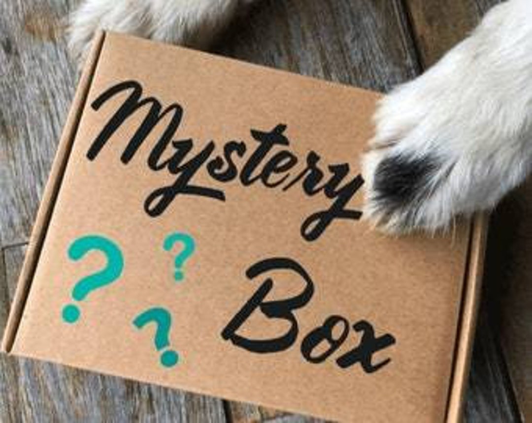Pet Mystery Box Dog Accessories Cat Accessories Pet Accessories Mystery