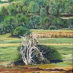 Withered Tree - Nature - Greenery - Landscape, Handmade