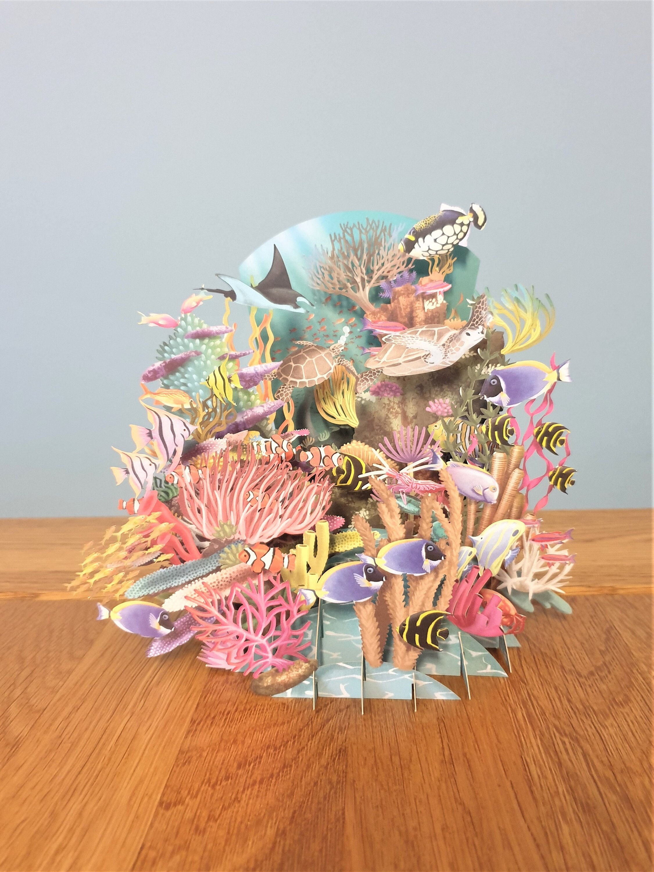 3D map "Reef Life"