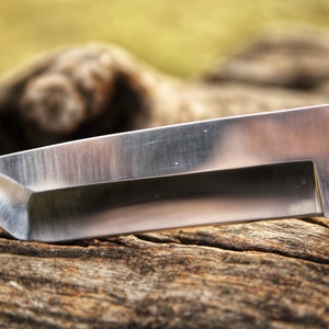 Stainless steel Knife High Carbon