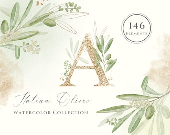 Olives Watercolor Clipart | Olive PNG | Olive Illustrations | Immediate Download