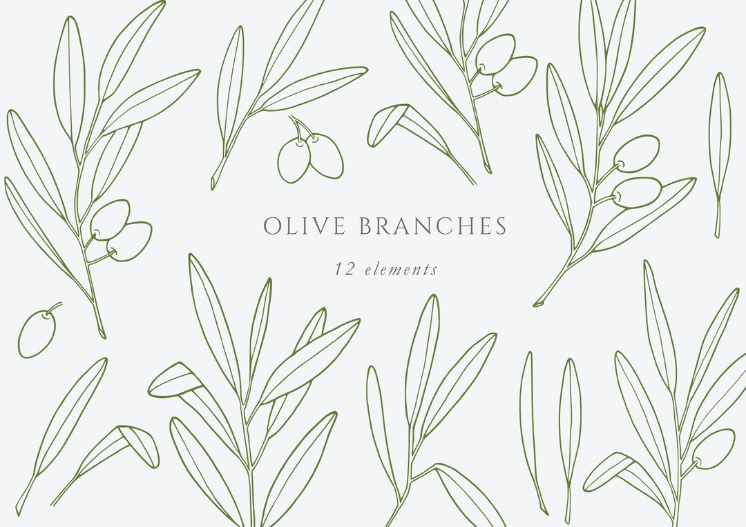 Fine Line Art Olive Branches | Botanical Elegant Illustrations ...
