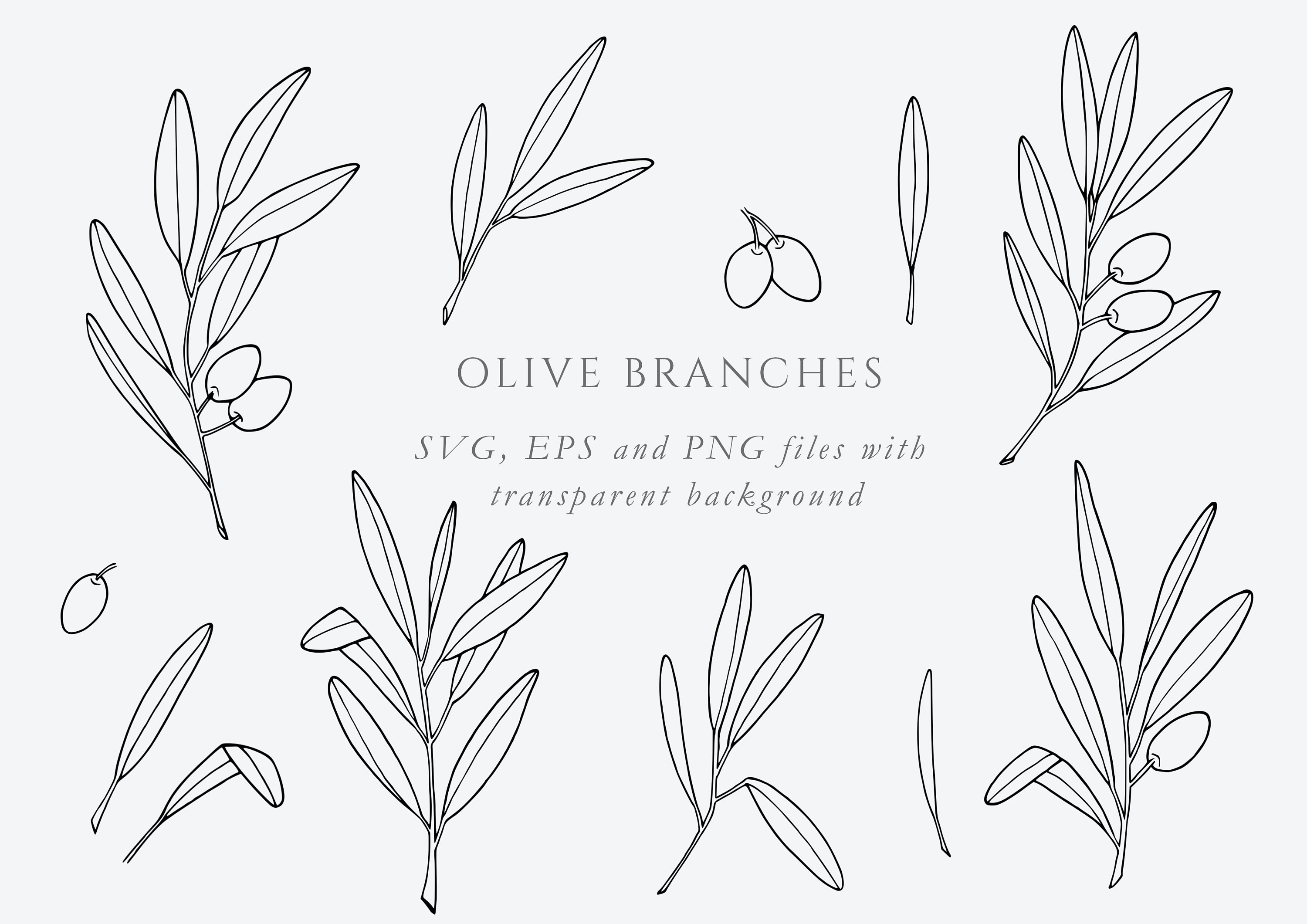 Fine Line Art Olive Branches | Botanical Elegant Illustrations ...