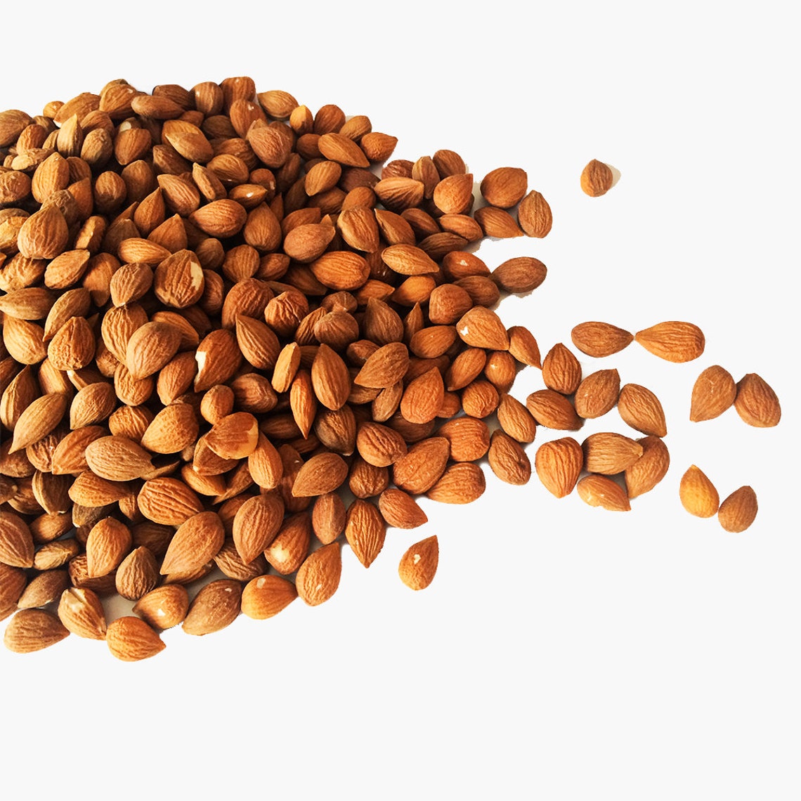 Organic Raw Bitter Apricot Kernels Seeds/ Himalayan Bitter Etsy