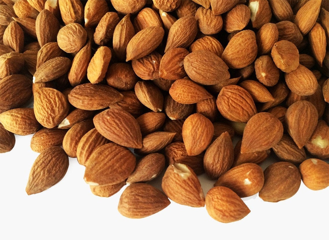 Organic Raw Bitter Apricot Kernels Seeds/ Himalayan Bitter Etsy