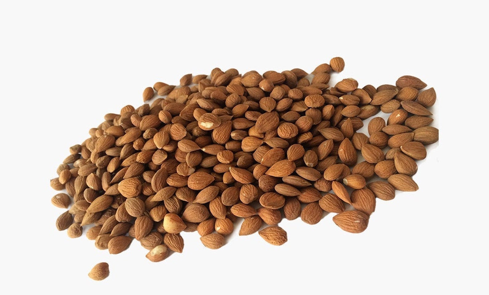 Organic Raw Bitter Apricot Kernels Seeds/ Himalayan Bitter Etsy