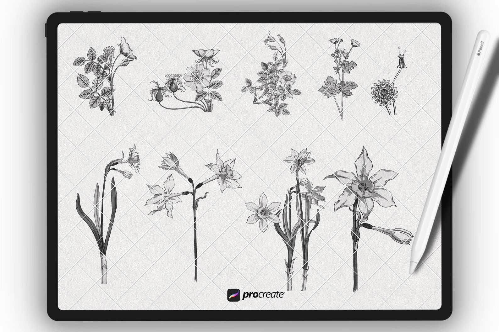 Sunflower Procreate Stamps | Procreate Flower Brushes | Procreate ...