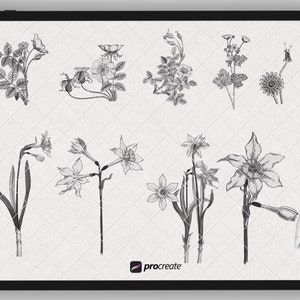 Sunflower Procreate Stamps | Procreate Flower Brushes | Procreate ...
