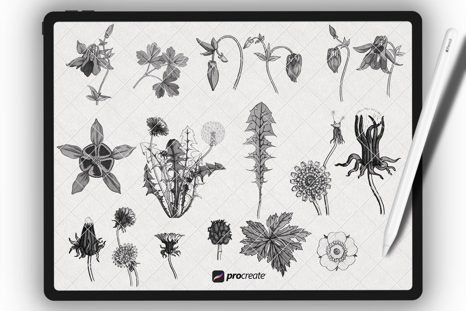 Sunflower Procreate Stamps | Procreate Flower Brushes | Procreate ...