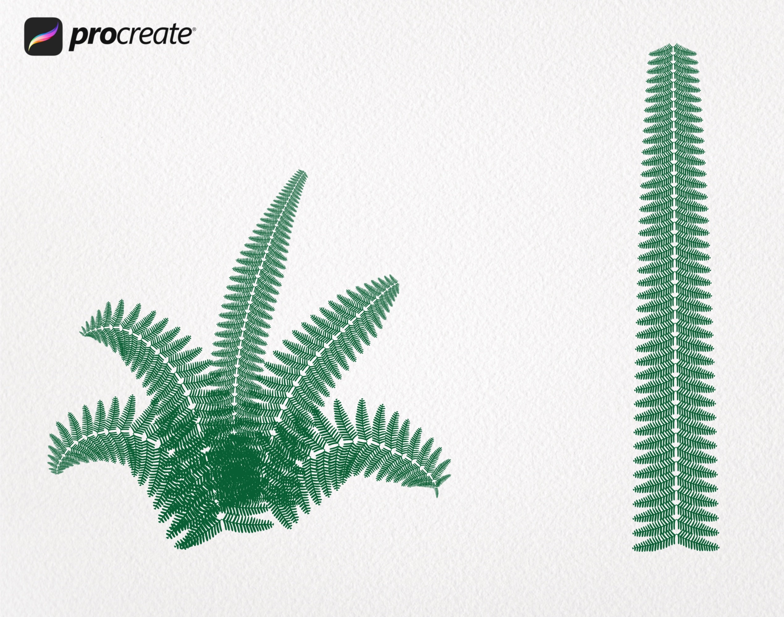 Tropical Leaves Procreate | Procreate Jungle Leaves Brush Set ...