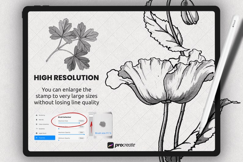 Sunflower Procreate Stamps | Procreate Flower Brushes | Procreate ...