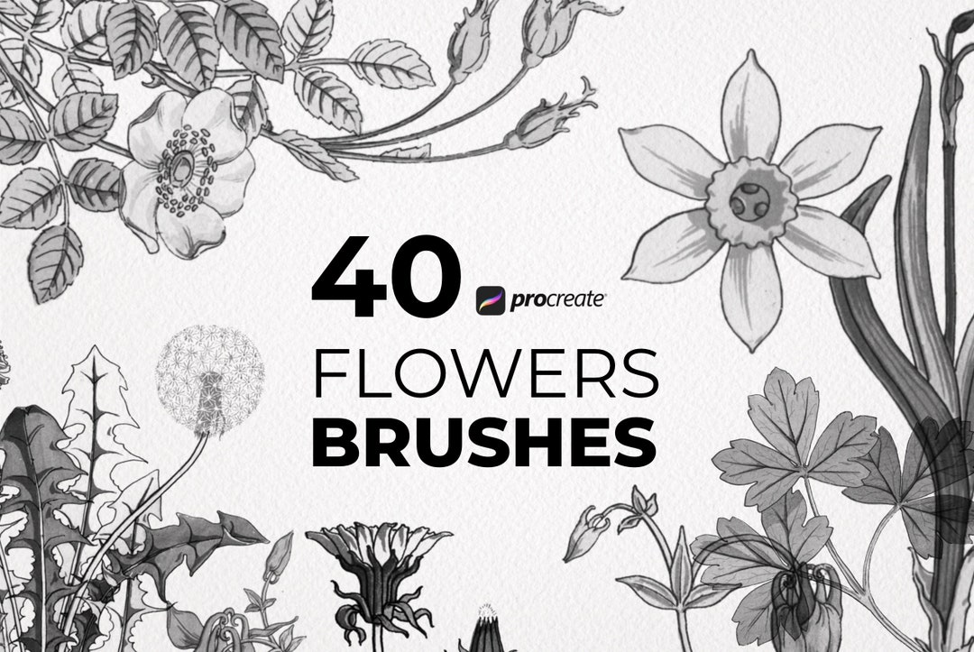 Sunflower Procreate Stamps | Procreate Flower Brushes | Procreate ...