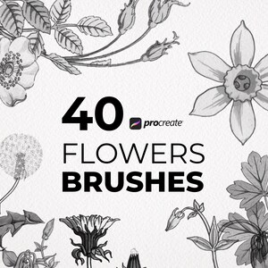 Sunflower Procreate Stamps | Procreate Flower Brushes | Procreate ...