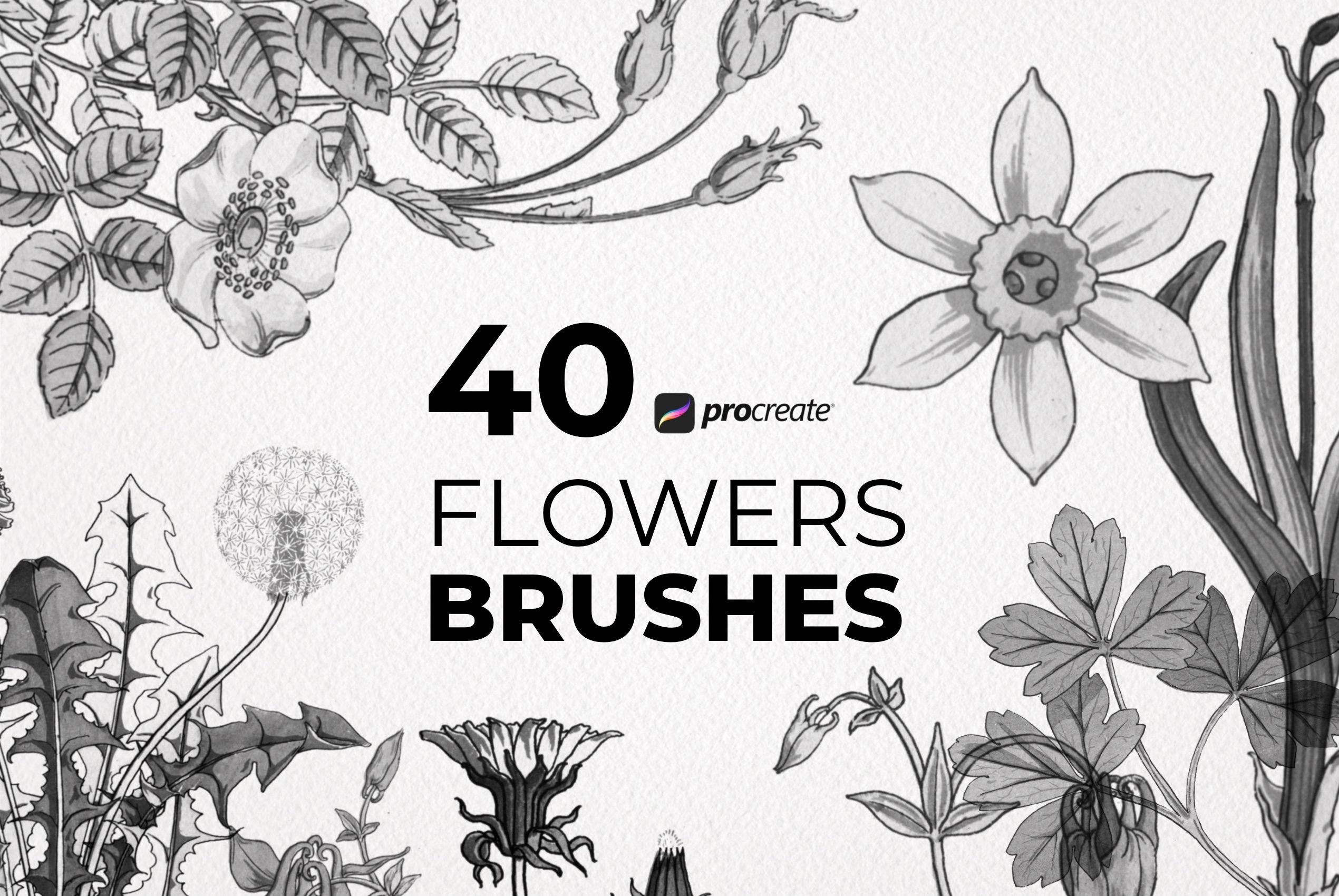 Sunflower Procreate Stamps | Procreate Flower Brushes | Procreate ...