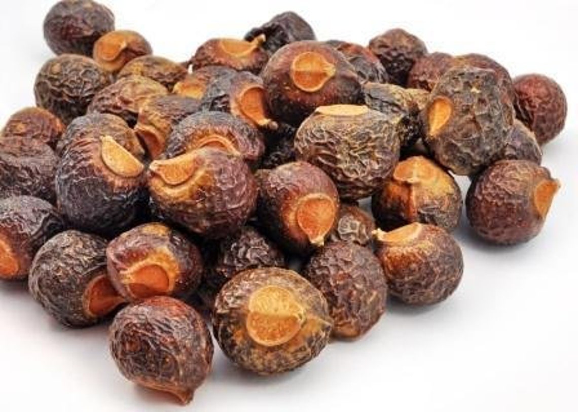 Ayurvedic ArithaReetha SoapnutKunkudukai Dry Raw Whole for Etsy