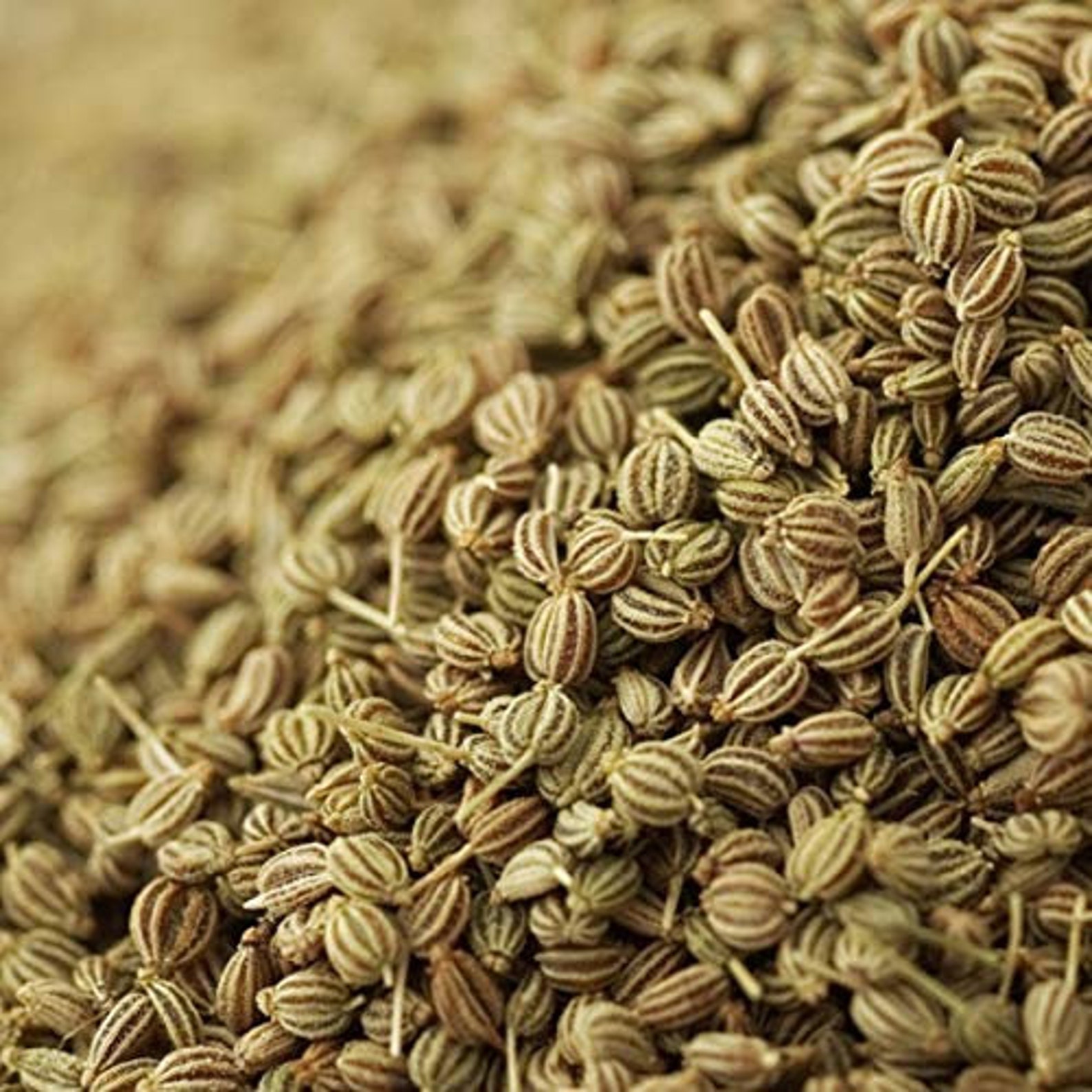 Carom Carom Seed Natural Sortex Carom Seed Ajwain Etsy