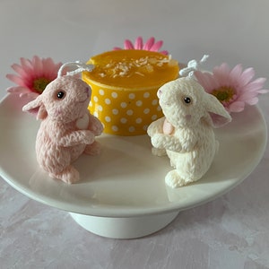 Hasen-Kuchenkerzen/Süße Kaninchen-Kerzen/Tierkerzen/Personalisierte Nummer/Cupcake Topper/Kuchendeckel/Natürliches Wachs/Osterhasen-Kerze/Unikat