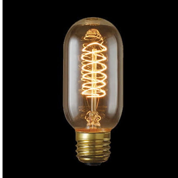 Edison light bulb