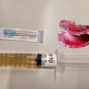 Cultures liquides : Shiitake, Pleurote rose, Crinière de lion, Maitake, Pleurote royal, Shimeji, Polypore soufré, Ganoderma rupa, Ganoderma rupa.