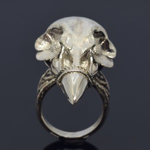 Puede incluir: Anillo plateado con un dise&ntilde;o detallado de calavera de animal. El anillo tiene una pieza central puntiaguda en forma de gema y detalles intrincados en la banda y la calavera. Los rasgos de la calavera est&aacute;n claramente definidos, creando una est&eacute;tica g&oacute;tica &uacute;nica.