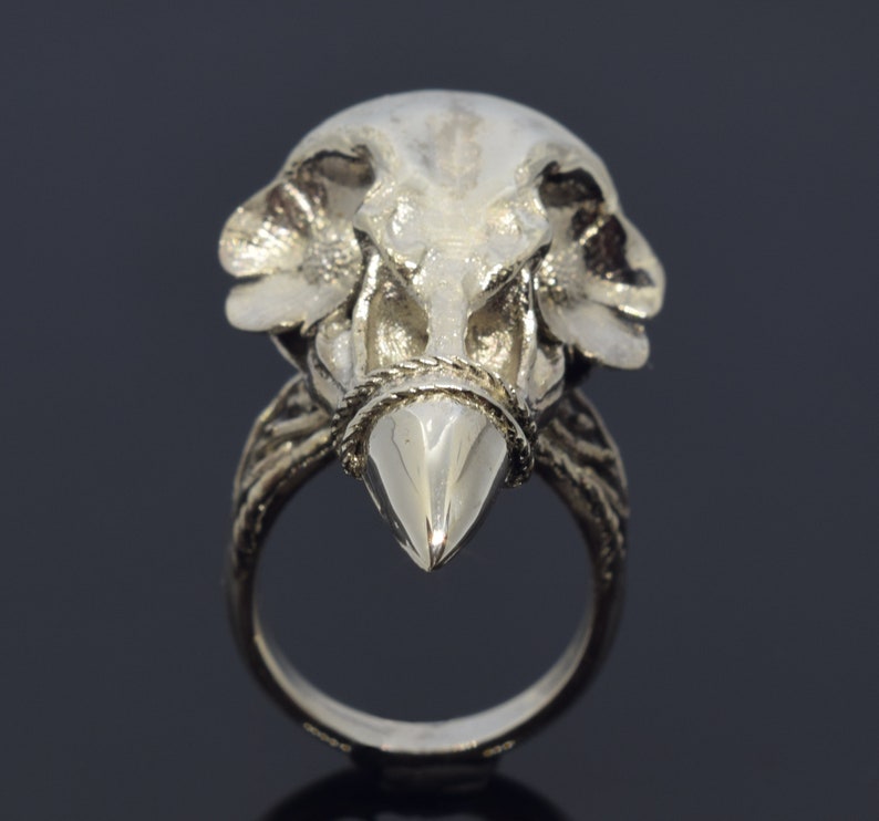 Puede incluir: Anillo plateado con un dise&ntilde;o detallado de calavera de animal. El anillo tiene una pieza central puntiaguda en forma de gema y detalles intrincados en la banda y la calavera. Los rasgos de la calavera est&aacute;n claramente definidos, creando una est&eacute;tica g&oacute;tica &uacute;nica.