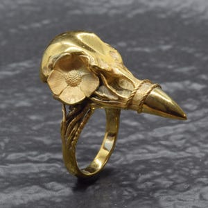 Puede incluir: Un anillo dorado con un dise&ntilde;o de calavera de p&aacute;jaro con un acento floral. El anillo tiene una superficie detallada y texturizada y un pico puntiagudo. La banda del anillo tiene un dise&ntilde;o de cuerda trenzada y un elemento floral.