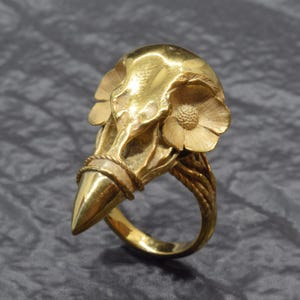Puede incluir: Un anillo dorado con un dise&ntilde;o en forma de calavera, adornado con detalles florales. El anillo presenta una punta y un detalle de cuerda trenzada alrededor de la calavera. La banda del anillo tiene un dise&ntilde;o de vid floral.
