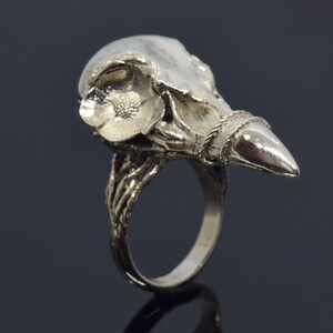 Puede incluir: Anillo plateado con dise&ntilde;o de calavera de p&aacute;jaro estilizada. El anillo presenta un elemento floral en el cr&aacute;neo y un pico puntiagudo. La banda tiene un dise&ntilde;o intrincado y texturizado. Fondo oscuro.