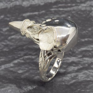 Puede incluir: Un anillo plateado con un dise&ntilde;o de calavera, con un pico de p&aacute;jaro y un acento floral. El anillo tiene detalles intrincados, incluyendo un dise&ntilde;o de cuerda trenzada alrededor del pico y un elemento floral en el lateral. La banda del anillo tiene un dise&ntilde;o texturizado.