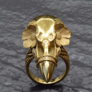Puede incluir: Un anillo dorado con un dise&ntilde;o detallado de cr&aacute;neo de p&aacute;jaro. El anillo presenta un pico puntiagudo y detalles florales en el cr&aacute;neo, con una banda en forma de cuerda alrededor del pico y una banda de anillo texturizada.