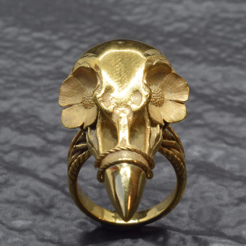 Puede incluir: Un anillo dorado con un dise&ntilde;o detallado de cr&aacute;neo de p&aacute;jaro. El anillo presenta un pico puntiagudo y detalles florales en el cr&aacute;neo, con una banda en forma de cuerda alrededor del pico y una banda de anillo texturizada.