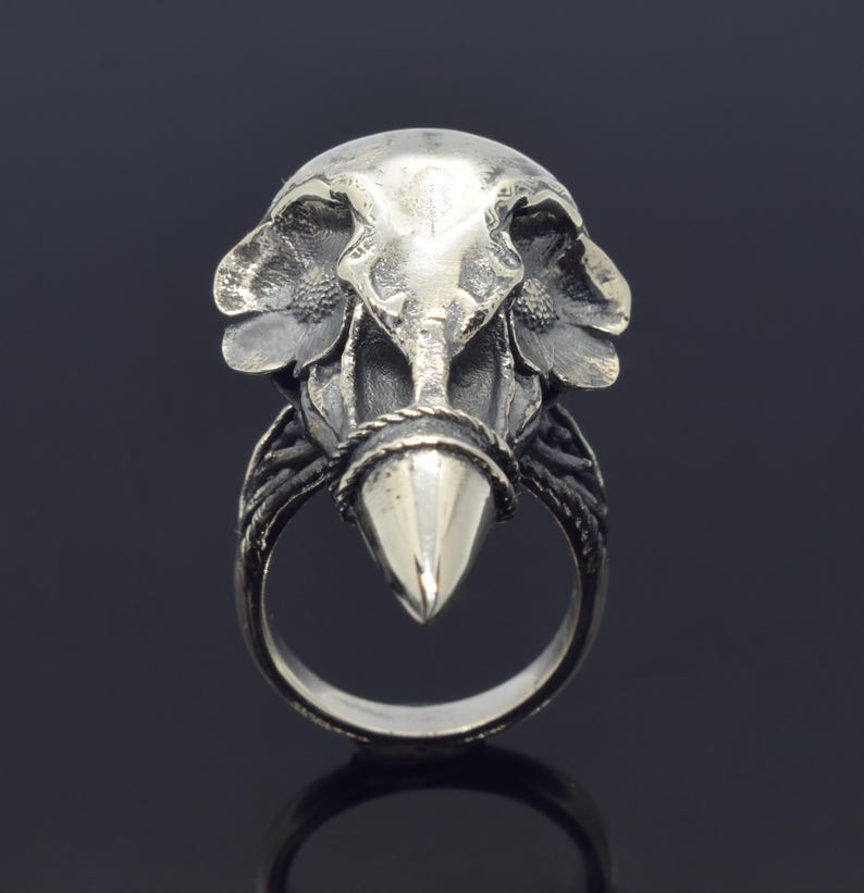 Puede incluir: Anillo plateado con un dise&ntilde;o detallado de calavera y detalles florales. El anillo tiene un elemento central puntiagudo y una banda texturizada. Los rasgos de la calavera est&aacute;n intrincadamente tallados, creando una est&eacute;tica g&oacute;tica.