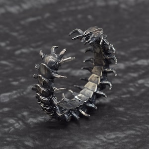 Könnte beinhalten: Ein silberfarbener Ring in Form eines Tausendfüßlers mit einem segmentierten Körper und zahlreichen Beinen, die von den Seiten abstehen. Das Metall hat ein dunkles, oxidiertes Finish, das die Textur des Insektenpanzers betont.