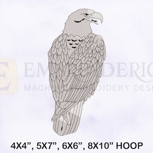 Peregrine Falcon Machine Embroidery Design, Animals Embroidery Designs, Falcon Embroidery Design, 4 Sizes Machine Embroidery Designs
