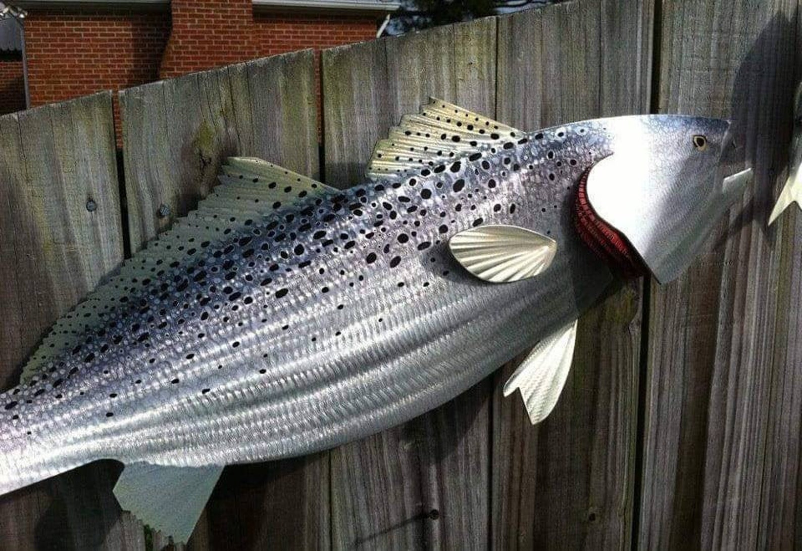 Speckled Trout Metal Wall Art Etsy