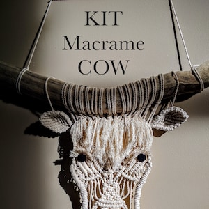 DIY Macrame COW KIT "Miss Moo" farm house decor, cowboy, eclectic, boho, unique project, shabby chic, Bobbiny