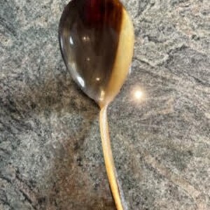 May include: A brown and cream colored seashell spoon with a long handle.