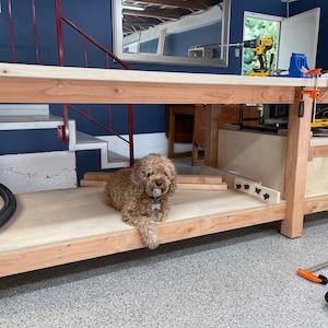 May include: A wooden workbench with a light brown top and a dog sitting on the lower shelf. The workbench has a red metal railing in the background.