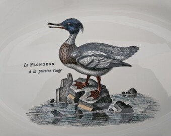 Panadero ovalado Villeroy & Boch de 11"