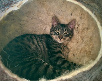 Grotte De Chat De Laine Feutree Etsy Grotte De Chat De Laine Feutree Etsy